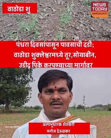 पंधरा दिवसांपासून पावसाची दडी; वाठोडा शुक्लेश्वरमध्ये तूर, सोयाबीन, उडीद पिके करपण्याच्या मार्गावर