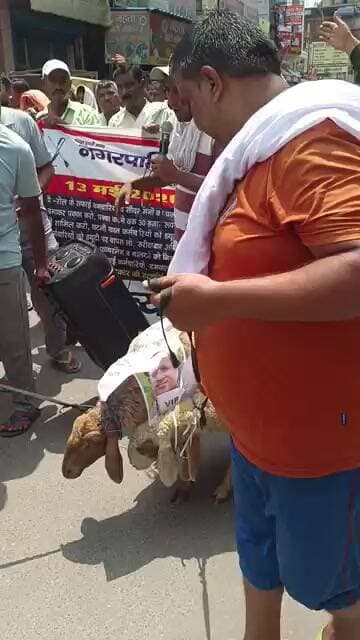 भेड़ के आगे बीन बजाकर निकाला जुलूस प्रदर्शन@dainikjagruk
