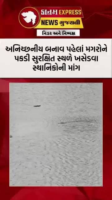 આમોદના મોટા તળાવમાં મગરોની દહેશત | 2-3 મોટા મગર અને બચ્ચાં દેખાયા