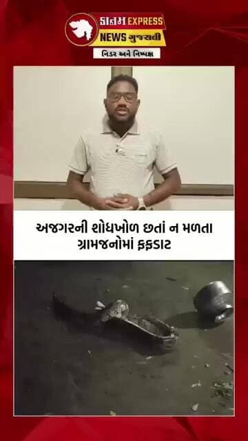 પુરસા ગામે મહાકાય અજગરનો આતંક! પાલતુ બિલાડીનું કર્યું મારણ, લોકોમાં ફફડાટ