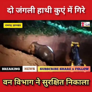 दो जंगली हाँथी कुएं में गिरे, वन विभाग ने सुरक्षित निकाला।
#रामगढ़ #गोड्डा #झारखंड #forest #रेस्क्यू
