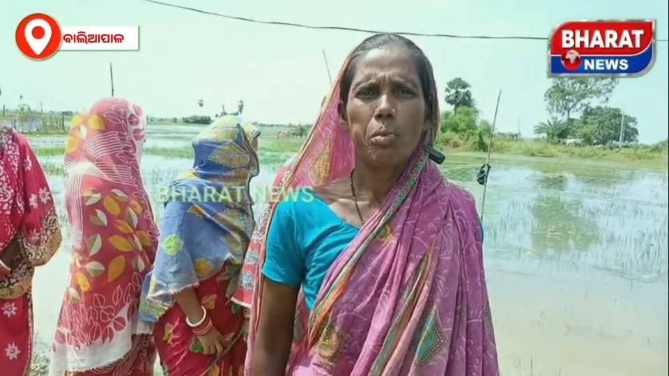 #ପାଣିଘେରରେ_ଜଗତିପୁର_ପଞ୍ଚାୟତର_ବହୁତ_ଘର_ଭୟଭିତ #ଅବସ୍ଥାରେ_ଅନେକ_ପରିବାର, ଏବେ ସୁଦ୍ଧା ତାଙ୍କ ପାଖରେ ପହଞ୍ଚି ପାରିନାହିଁ ପ୍ରଶାସନ |
#Baliapal #jagatipur #bharatnewsodia #CMOOdisha #SubasiniJena #pratapsadangi