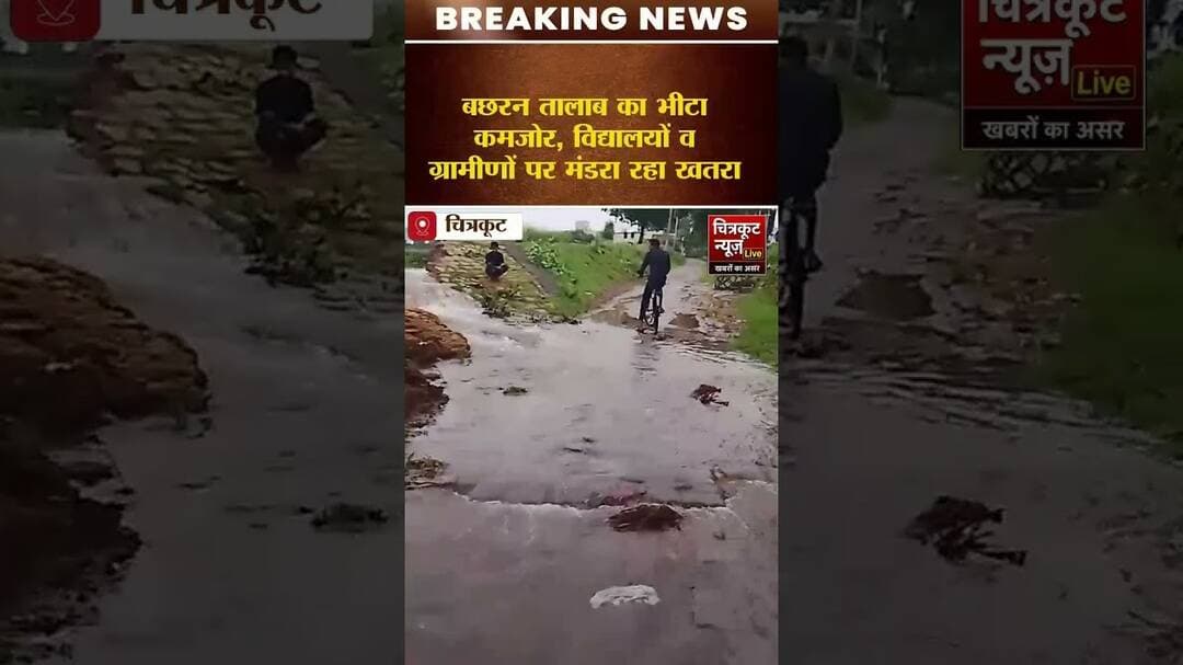 वन विभाग की लापरवाही से खतरे की जद में बछरन का बड़ा तालाब! #viralnews #chitrakoot #newslive #news