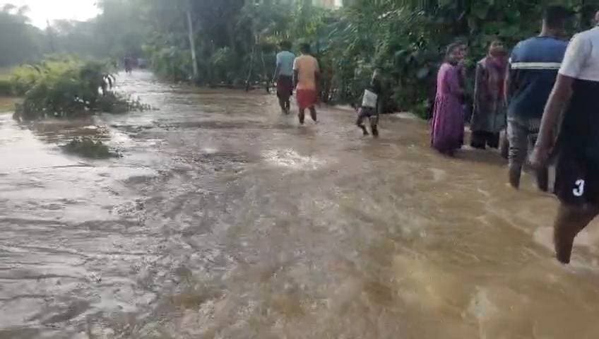 #ସୁବର୍ଣ୍ଣରେଖା_ନଦୀରେ_ବନ୍ୟା_ବିଭୀଷିକା ।
ବାଲେଶ୍ଵର ଜିଲ୍ଲା ସୁବର୍ଣ୍ଣରେଖା ନଦୀରେ ବନ୍ୟା ବିଭୀଷିକା ଭିତରେ ବାଲିଆପାଳ ଓ ରାଜଘାଟ ଅଞ୍ଚଳର ଦୃଶ୍ୟ ।
#newsfeed #heavyrain #flooding #riverside #Floods #balasore #Baliapal
Mahima TV