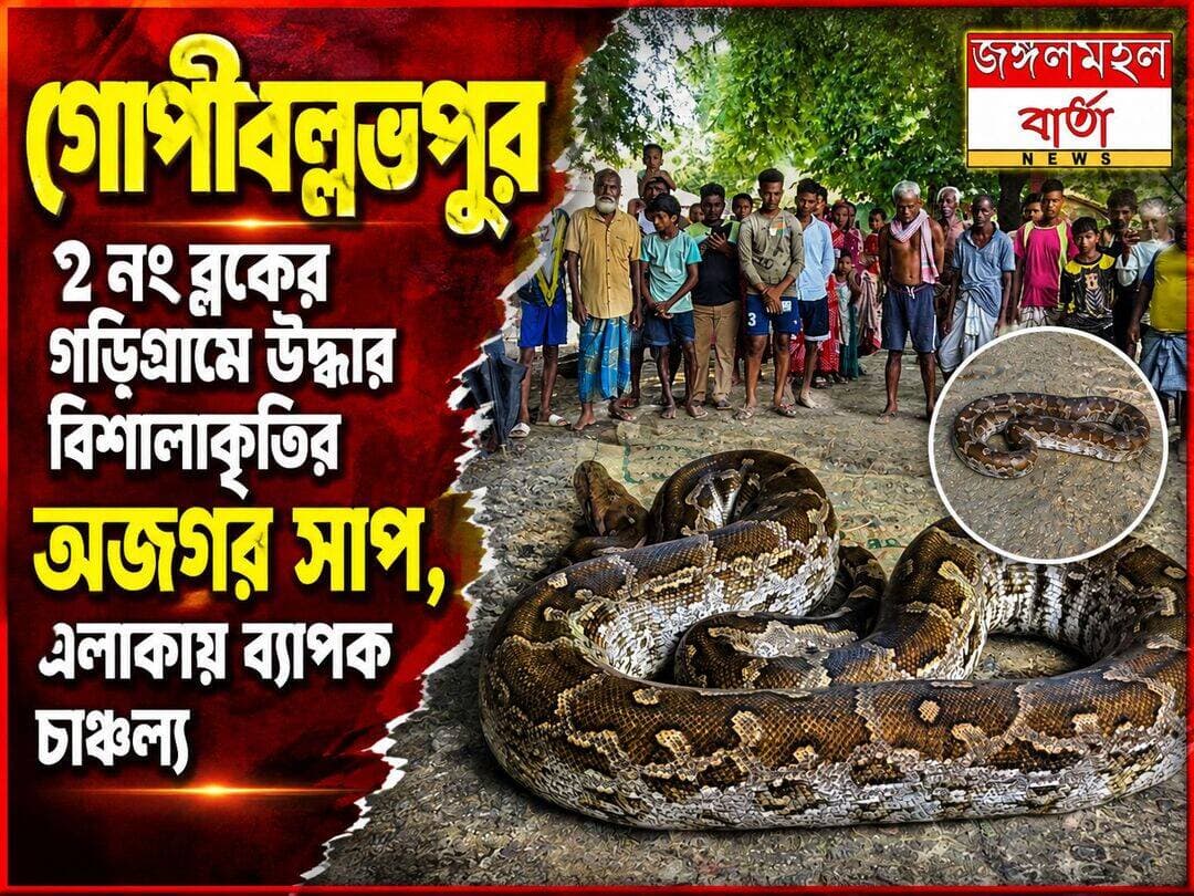 গোপীবল্লভপুর ২ নং ব্লকের গড়িগ্রামে উদ্ধার বিশালাকৃতির অজগর সাপ, এলাকায় ব্যাপক চাঞ্চল্য |
<nis:link nis:type=tag nis:id=python nis:value=Python nis:enabled=true nis:link/> <nis:link nis:type=tag nis:id=jhargram nis:value=jhargram nis:enabled=true nis:link/> <nis:link nis:type=tag nis:id=jangalmahalbarta nis:value=jangalmahalbarta nis:enabled=true nis:link/>