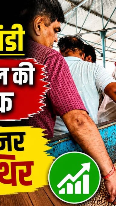धामनोद मंडी में डॉलर चना का भाव इस प्रकार रहा...
आज अच्छे माल की कुछ आवक रही, डॉलर चना का बाजार लंबे समय से स्थिर...
20 अगस्त 2026
Dhamnod Mandi Bhav
.
.
.
.
.
.
.
.
.
.
.
.
.
.
.
.
.
#dhamnodmandibhav #dollarchanamandibhav #dollarchanamandi #mandinews #dhamnodmandi