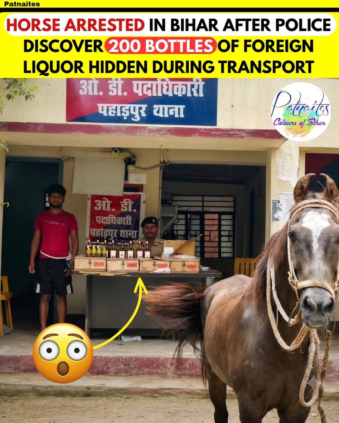 Move over four-wheelers, Bihar’s bootleggers just went 1-horsepower. 🐎🚨
In a bizarre crackdown in Motihari (Paharpur), local police intercepted an unusual suspect—a horse loaded with nearly 200 bottles (~53 liters) of illicit foreign liquor.
Aaj Tak
While the smuggler was taken into custody, the four-legged courier was also rounded up and brought straight to the police station for official proceedings.
Smugglers are clearly taking “horsepower” too literally.
<nis:link nis:type=tag nis:id=biharnews nis:value=BiharNews nis:enabled=true nis:link/> <nis:link nis:type=tag nis:id=motihari nis:value=Motihari nis:enabled=true nis:link/> <nis:link nis:type=tag nis:id=bihardiaries nis:value=BiharDiaries nis:enabled=true nis:link/> <nis:link nis:type=tag nis:id=patnaites nis:value=patnaites nis:enabled=true nis:link/>