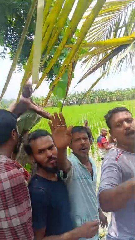 দেখুন আসল সত্য, চম্পাহাটি হাড়ালে বাজি বিস্ফোরণে কতটা ভয়াবহ ছিল যে ছবি তুলতে বাধা দেওয়া হচ্ছে
Witness the stark reality: the firecracker explosion at Champahati-Harali was so horrific that people are being prevented from taking photographs.
#reelsviralシ #BJPNEWS #baruipurupdate #reelsviralシ #baruipurcollage #BaruipurIncident #trendingreels #reelsfacebook #TMC #BJPNEWS #BaruipurNews #mutton #khash #BaruipurNews #police #CPIM #murders #baruipursports #newstoday #sonarpurnews #সোনারপুর #BaruipurNews #ক্যানিং #জয়নগর #বারুইপুর #follower #Baruipur #Sonarpur #Baruipur #exclusive
#training