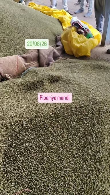 20/08/2026 #pipariya #mandi #viral