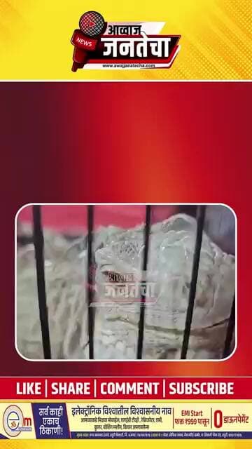 धनगरवाडी येथील गंगागिरी महाराज हरिनाम सप्ताह कृषी प्रदर्शनात साडेपाच फूट व २१ किलो सरडा ठरतोय आकर्षण