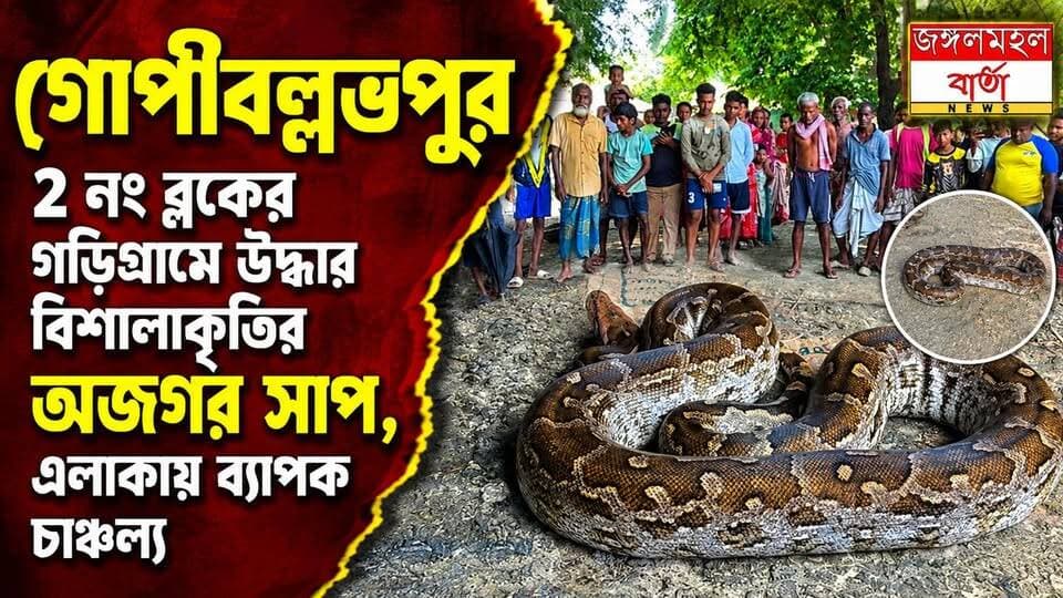 গড়িগ্রামে জল পাম্পের ঘরে বিশালাকৃতির অজগর সাপ উদ্ধার, আতঙ্কিত গ্রামবাসী
#WestBengal #jhargram #Jangalmahal #jangalmahalbarta