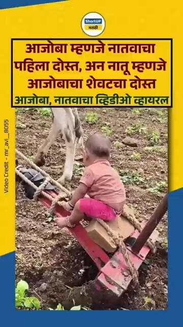 आजोबा अन नातवाच्या प्रेमाचा व्हिडीओ व्हायरल grandfather and grandson