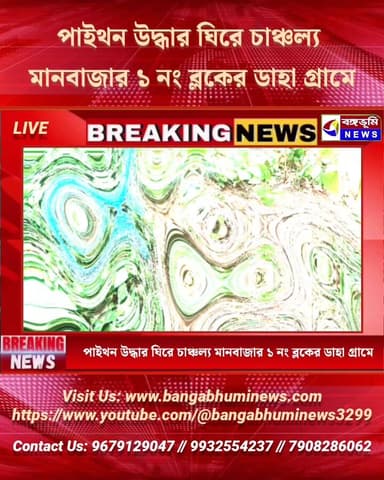 পাইথন উদ্ধার ঘিরে চাঞ্চল্য মানবাজার ১ নং ব্লকের ডাহা গ্রামে