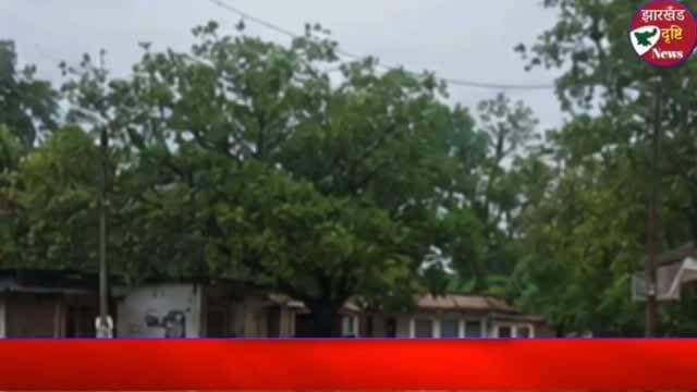 News video thumbnail