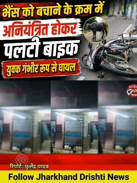 भैंस को बचाने के क्रम में अनियंत्रित होकर पलटी बाइक, युवक गंभीर रूप से घायल...। झारखंड दृष्टि न्यूज