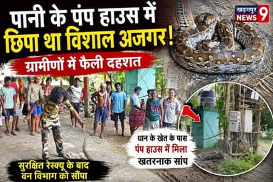 #pythoninpumphouse : पानी के पंप हाउस में छिपा था विशाल अजगर, ग्रामीणों में फैली दहशत। #jhargram #gopiballavpur #rescue #kharagpurnews9
