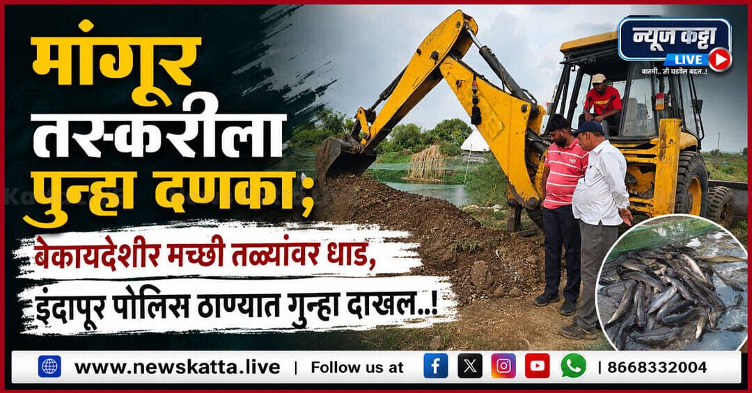 ⛔ INDAPUR BREAKING : इंदापूरमधील मांगूर तस्करीला पुन्हा दणका; प्रशासनाकडून संयुक्तपणे बेकायदेशीर मच्छी तळ्यांवर धाड, इंदापूर पोलिस ठाण्यात गुन्हा दाखल..! - NEWS KATTA LIVE
बातमीची लिंक कमेंटमध्ये ⤵️