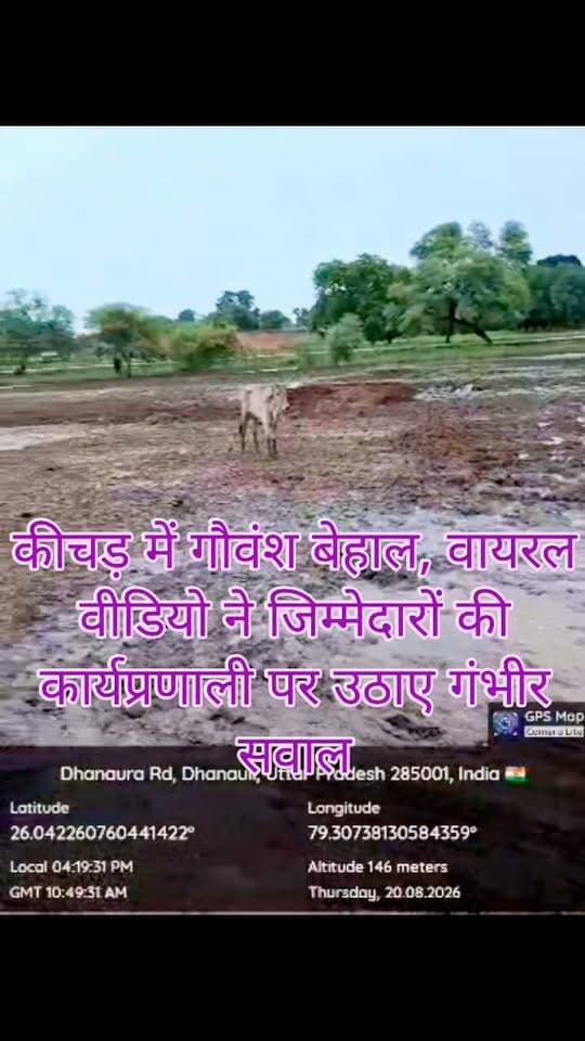 कीचड़ में गौवंश, जिम्मेदार बेपरवाह! धनौरा कला की गोशाला की बदहाली पर उठे सवाल
जालौन। बारिश के बीच जालौन ब्लॉक की धनौरा कला ग्राम पंचायत स्थित गोशाला की बदहाल तस्वीरें और वीडियो सामने आने से व्यवस्थाओं पर गंभीर सवाल खड़े हो गए हैं।
वायरल वीडियो में गोवंशों को कथित तौर पर कीचड़ और गंदगी के बीच खड़े देखा जा रहा है, जिससे गोशाला की साफ-सफाई और जल निकासी व्यवस्था पर सवाल उठ रहे हैं।
ग्रामीणों का आरोप है कि बारिश के बाद गोशाला परिसर में पानी और कीचड़ जमा हो गया है।
इससे गौवंशों को परेशानी का सामना करना पड़ रहा है।
ग्रामीणों का कहना है कि जिम्मेदारों को लगातार गोशालाओं की व्यवस्थाएं दुरुस्त रखने के निर्देश दिए जाते हैं, लेकिन धरातल पर हालात कुछ और ही नजर आ रहे हैं।
ग्रामीणों ने ग्राम प्रधान और सचिव की कथित लापरवाही का आरोप लगाते हुए जिला प्रशासन से गोशाला का तत्काल निरीक्षण कराने और व्यवस्थाओं को दुरुस्त कराने की मांग की है। हालांकि, इन आरोपों की स्वतंत्र पुष्टि नहीं हुई है।
अब बड़ा सवाल यह है कि जब गोशालाओं की व्यवस्थाओं को लेकर प्रशासन सख्त है, तो धनौरा कला में गौवंशों को कीचड़ के बीच रहने की नौबत क्यों आई? क्या जिम्मेदार अधिकारियों की नजर इस बदहाल व्यवस्था पर पड़ेगी और क्या जांच के बाद जिम्मेदारी तय होगी?
नोट: यह खबर वायरल वीडियो के आधार पर तैयार की गई है।
वीडियो की स्वतंत्र पुष्टि नहीं हुई है।
संबंधित पक्ष का बयान मिलने पर उसे भी प्रमुखता से प्रकाशित किया जाएगा।
आपकी क्या राय है? कमेंट बॉक्स में जरूर बताएं।
#Jalaun #JalaunNews #DhaunraKala #Goshala #GauSeva #GauVansh #JalaunAdministration #DMJalaun #GoshalaBadhaali #ViralVideo #GroundReport
#JalaunBlock #गौशाला #गौवंश #जालौन #जालौन_न्यूज़ #प्रशासन #लापरवाही #ग्राउंड_रिपोर्ट