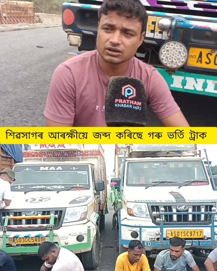 শিৱসাগৰ আৰক্ষীয়ে ৩৭ং ৰাষ্ট্ৰীয় ঘাইপথত জব্দ কৰিছে গৰু ভৰ্তি বাহন
#highlight #everyonefollowers #follower #nonfollowers