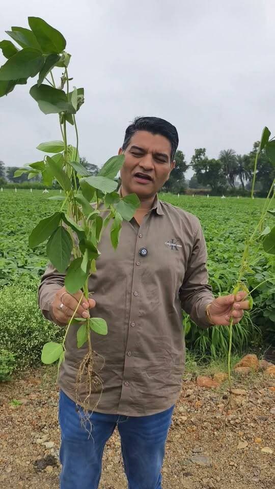 सोयाबीन की फसल पर सही समय पर सही उत्पादों का इस्तेमाल करेंगे तो परिणाम क्या आएंगे। ? #सोयाबीन