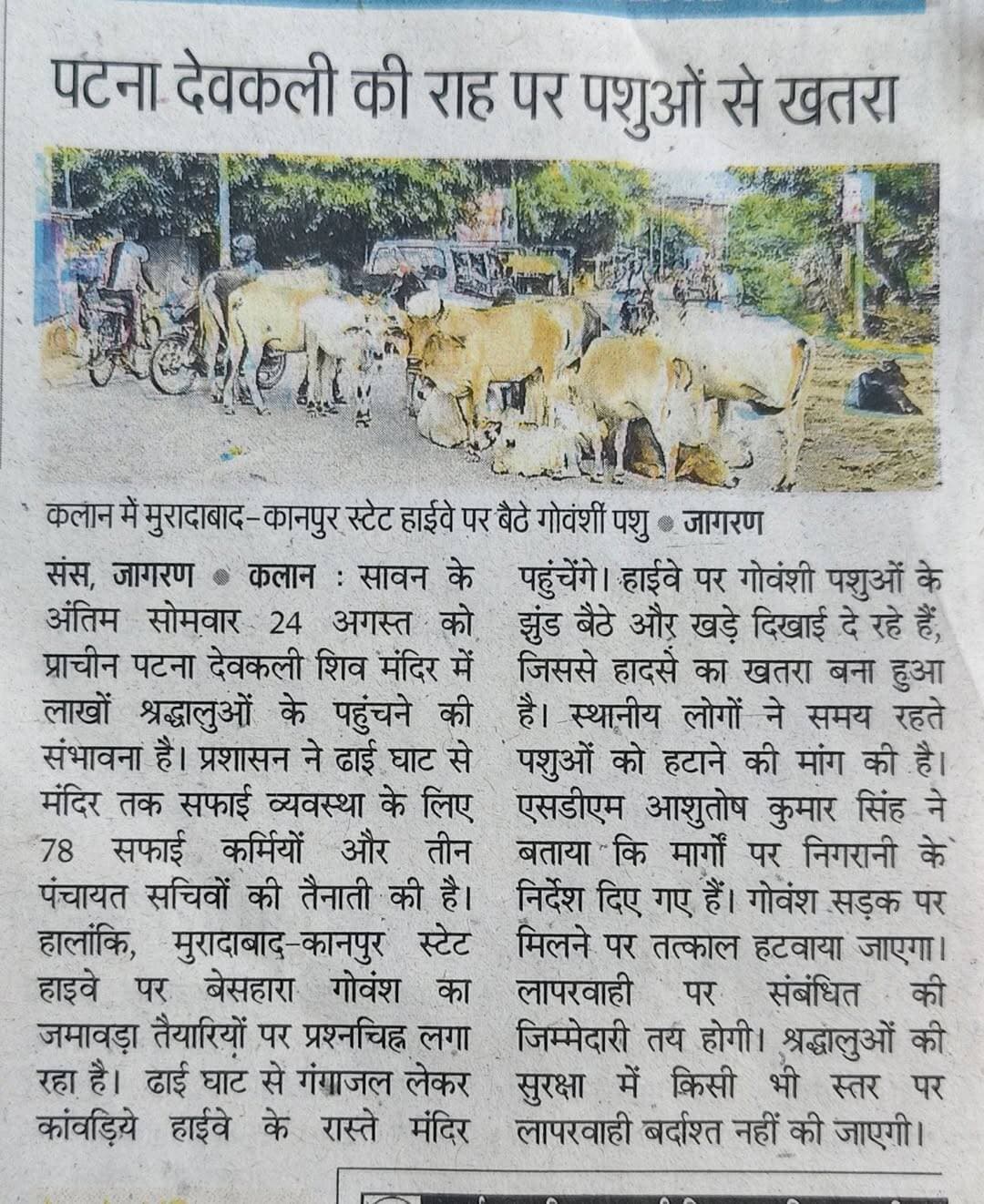 कलान में मुरादाबाद कानपुर स्टेट हाईवे पर बैठे गोवंशी पशु