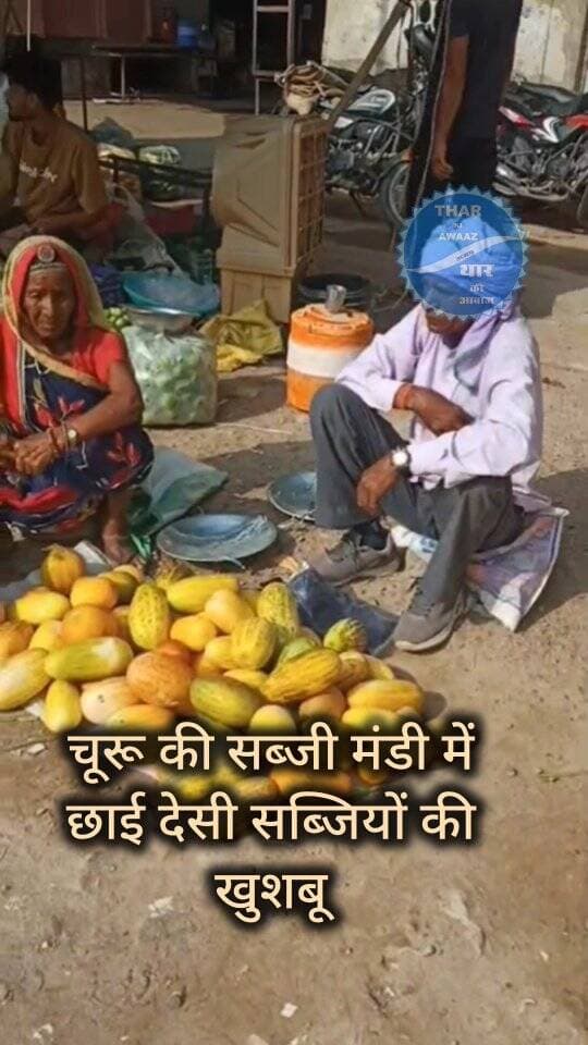 चूरू की सब्जी मंडी में छाई देसी सब्जियों की खुशबू
#churu #tharkiawaazajay #sabjimandi #localforvocal #reelviral