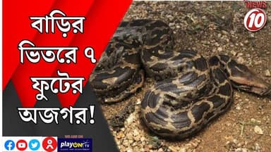 বাড়ির ভিতরে ৭ ফুটের অজগর! || দুর্গাপুর || #tvnews10 #LocalNews #follower #BJPNEWS #TMCNEWS #congress