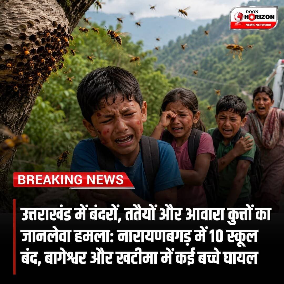 उत्तराखंड में बंदरों, ततैयों और आवारा कुत्तों... See more