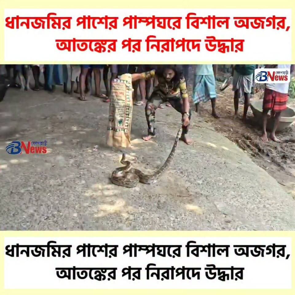 ধানজমির পাশের পাম্পঘরে বিশাল অজগর, আতঙ্কের পর নিরাপদে উদ্ধার
#JhargramNews #PythonRescue #WildlifeRescue