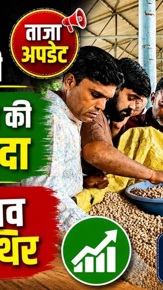 आज धामनोद मंडी में डॉलर चना का भाव इस प्रकार रहा, आज अच्छे माल की आवक ज्यादा रही
बाजार लंबे समय से स्थिर...
21 अगस्त 2026
Dhamnod Mandi Bhav
.
.
.
.
.
.
.
.
.
.
.
.
.
.
.
.
.
#dhamnodmandibhav #mandibhavtoday #dollarchanamandibhav #dollarchanakabhav #mandinews
