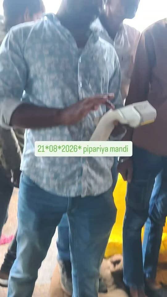 #pipariya #mandi #moong #india #mp