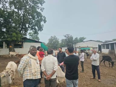 कलेक्टर के निर्देशन में गौशालाओं की सघन मॉनिटरिंग, एसडीएम ने किया बांदरखोह गौशाला का औचक निरीक्षण
कलेक्टर नर्मदापुरम श्री सोमेश मिश्रा के विशेष निर्देशन में जिले की गौशालाओं को सुदृढ़ करने और निराश्रित गोवंश को सुरक्षित आश्रय उपलब्ध कराने के लिए प्रशासन द्वारा निरंतर मॉनिटरिंग की जा रही है।
इसी क्रम में बुधवार को एसडीएम सिवनी मालवा श्री विजय राय ने ग्राम बांदरखोह स्थित 'आचार्य विद्यासागर गौशाला' का औचक निरीक्षण किया।
उल्लेखनीय है कि कलेक्टर श्री मिश्रा के मार्गदर्शन में एसडीएम श्री राय और समाजसेवी श्री संतोष पारीक के विशेष सहयोग से क्षेत्र के लगभग 2000 निराश्रित गोवंशों को सुरक्षित रूप से इस गौशाला में पहुंचाया गया था, जिसे गौ-संरक्षण की दिशा में एक ऐतिहासिक पहल माना जा रहा है।
निरीक्षण के दौरान समाजसेवी संतोष पारीक, युवा पत्रकार अक्षत राजपूत एवं स्थानीय ग्रामीण उपस्थित रहे।
निरीक्षण के दौरान एसडीएम ने गौशाला में निर्माणाधीन नवीन शेडों का जायजा लिया और संचालक को निर्माण कार्य शीघ्र पूर्ण करने के निर्देश दिए। साथ ही प्रबंधन को निर्देशित किया कि पेयजल हौदों की नियमित सफाई की जाए, परिसर से प्रतिदिन गाद हटाई जाए, वृद्ध और युवा गोवंश के लिए पृथक-पृथक शेड की व्यवस्था की जाए तथा दवाओं और फर्स्ट एड किट की पर्याप्त उपलब्धता सुनिश्चित की जाए। एसडीएम ने वेटनरी विभाग को भी निर्देश दिए कि सप्ताह में कम से कम 3 दिन अनिवार्य रूप से गौशाला का दौरा कर घायल और बीमार गोवंश का त्वरित उपचार सुनिश्चित करें।
निरीक्षण के दौरान एक गोवंश घायल अवस्था में मिला। इस पर एसडीएम श्री विजय राय और समाजसेवी श्री संतोष पारीक ने स्वयं आगे बढ़कर घायल गोवंश की मरहम-पट्टी की। अधिकारियों के इस मानवीय व्यवहार से ग्रामीणों में गौ-सेवा के प्रति भावनात्मक जुड़ाव देखने को मिला।
एसडीएम श्री राय ने बताया कि कलेक्टर श्री मिश्रा के निर्देशन में निराश्रित गोवंश को सुरक्षित आश्रय देने और सड़क हादसों को रोकने के लिए यह विशेष अभियान पूरे जिले में चलाया जा रहा है, जिसकी क्षेत्रवासियों द्वारा सराहना की जा रही है
#narmadapuram
CM Madhya Pradesh Dr Mohan Yadav Jansampark Madhya Pradesh General Administration Department, MP Panchayat, Rural Development and Social Welfare Department of Madhya Pradesh Department of Animal Husbandry, Madhya Pradesh Department of Agriculture, Madhya Pradesh