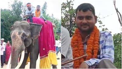 बस्ती में बेटे की सरकारी नौकरी लगते ही पिता ने दिखाई राजाओं वाली शान, हाथी पर बैठाकर निकाला जुलूस
बस्ती: जब बेटा पढ़-लिख कर कामयाब हो जाए तो पिता को कितनी खुशी होती है, इसका अंदाजा आप उत्तर प्रदेश के बस्ती जिले से शुक्रवार को आई इस खबर से लगा सकते हैं। यहां हरैया थाना क्षेत्र के केशवपुर गांव में रहने वाले अवनीश पाण्डेय का चयन ग्राम पंचायत अधिकारी के पद पर हुआ है. जैसे ही यह जानकारी अवनीश के पिता महेंद्र कुमार पाण्डेय को लगी, उन्होंने बेटे का शानदार स्वागत करने की ठान ली. उन्होंने संसारीपुर चौराहे पर गाजे-बाजे के साथ समारोह आयोजित किया और अपने बेटे को हाथी पर बैठाकर पूरे गांव का राउंड लगवाकर खुशी जाहिर की।
हाथी पर बैठते ही चेहरे पर आई मुस्कान
यह पूरा वाक्या गांव के लोगों ने अपने-अपने फोन में कैद कर लिया और फिर सोशल मीडिया पर पोस्ट कर दिया. अब यह वीडियो तेजी से वायरल हो रहा है और स्थानीय लोगों के साथ-साथ अनजान लोग भी अवनीश और उनके परिवार को बधाइयां दे रहे हैं. वीडियो में अवनीश लाल-पीले रंग से सजे हाथी की पीठ पर शर्ट-पैंट पहनकर गले में माला डाले बैठे नजर आ रहे हैं. अपने चेहरे पर बड़ी से मुस्कान साफ नजर आ रही है।
नजारा देखने के लिए जुटी लोगों की भीड़
हाथी को चौराहे से लेकर घर तक ले जाया जाता है. इस दौरान स्थानीय लोग बढ़ चढ़ कर इसमें भाग लेते हैं. इस नजारे को देखने के लिए जमा हुए लोगों की भीड़ वीडियो में साफ देखी जा सकती है. गाजे-बाजे के साथ कुछ महिलाएं भी हाथी के साथ-साथ डांस करते हुए चलती नजर आ रही हैं. इस दौरान परिवार के सदस्य हाथी की आरती उतारते और उसे खाना खिलाते हुए भी नजर आ रहे हैं।
<nis:link nis:type=tag nis:id=viralpost nis:value=viralpost nis:enabled=true nis:link/> <nis:link nis:type=tag nis:id=trendingpost nis:value=trendingpost nis:enabled=true nis:link/> <nis:link nis:type=tag nis:id=basti nis:value=basti nis:enabled=true nis:link/>