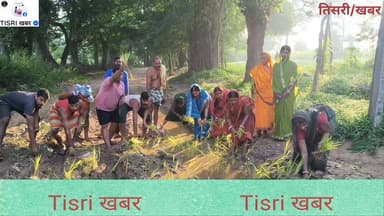 तिसरी प्रखंड के रतनगड़ुरा गांव में सड़क की बदहाली के खिलाफ ग्रामीणों का अनोखा विरोध, सड़क पर धान रोपनी कर जताया आक्रोश
#highlights
#jharkhand
#road
