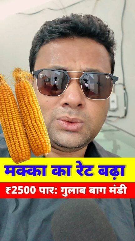 🌽 मक्का किसानों के उड़े होश! 😲 Gulab Bagh Mandi Makka Rate Today | Corn Price Update
#MakkaKaBhav #GulabBaghMandi #CornPriceToday #BiharKisan #मक्का_रेट
आज 21 अगस्त 2026 को गुलाब बाग मंडी में मक्का (Maize) के भाव में जबरदस्त हलचल देखने को मिली है। इस वीडियो में जानिए आज का सबसे सटीक रेट।
मंडी में सबसे निचला क्वालिटी का मक्का ₹2390 प्रति क्विंटल बिका, जबकि सबसे बढ़िया (प्रीमियम क्वालिटी) मक्का का भाव ₹2540 प्रति क्विंटल तक पहुँच गया। मक्का के भाव से जुड़ी हर ताज़ा अपडेट के लिए वीडियो को लाइक करें और चैनल को सब्सक्राइब करें।