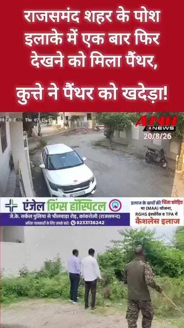 कुत्ते ने पैंथर को खदेड़ा! CCTV कैमरे में पैंथर का मूवमेंट कैद @anhnews1