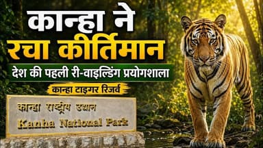 कान्हा टाइगर रिजर्व ने रचा इतिहास, देश की पहली वाइल्डिंग प्रयोगशाला बना पार्क
