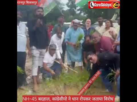 NH-45 की बदहाली पर कांग्रेसियों ने धान रोपकर जताया विरोध #news #bilaspurdistrict