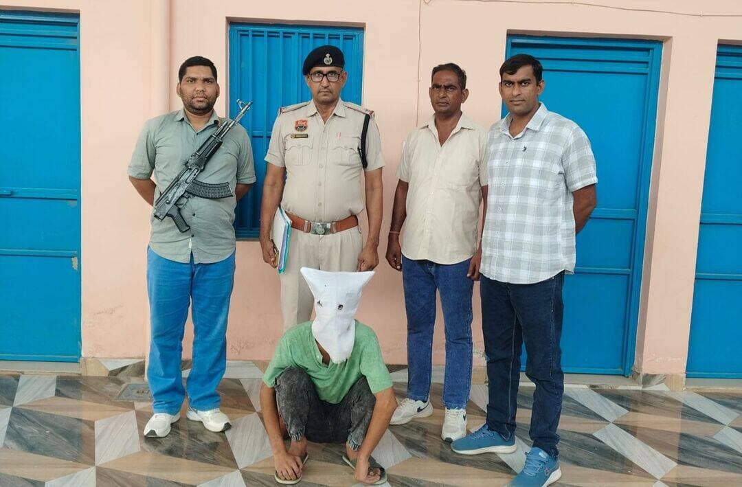 चरखी दादरी में कमोद-मिर्च बस स्टैंड से See More....