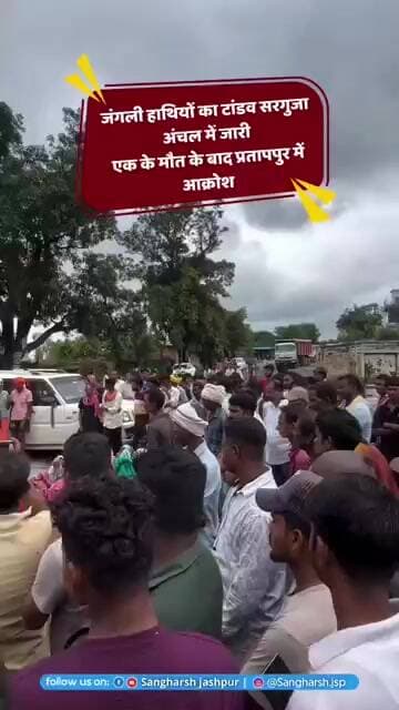 जंगली हाथियों के चपेट में आया आदिवासी। मौत के बाद क्षेत्र में आक्रोश
