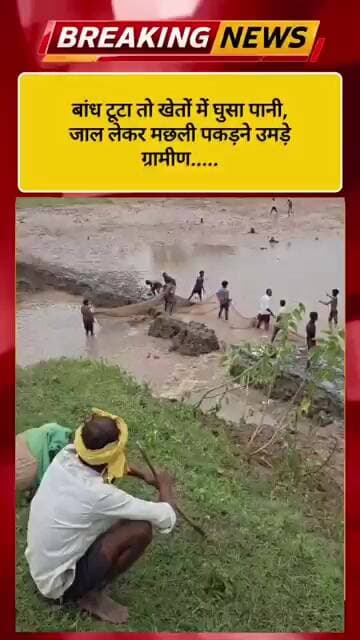 बांध टूटा तो खेतों में घुसा पानी, जाल लेकर मछली पकड़ने उमड़े ग्रामीण...#viral #viralvideo #shorts