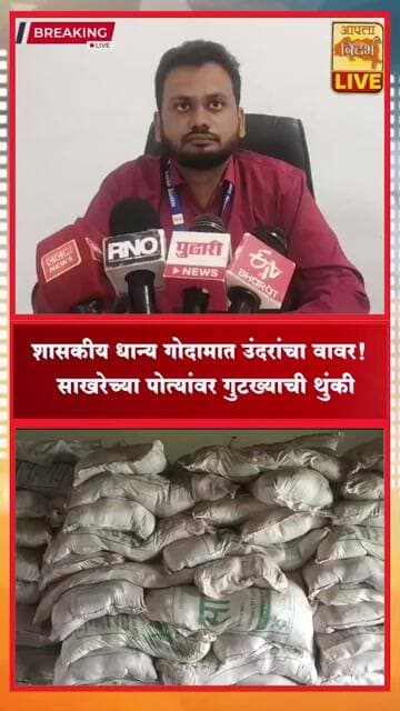 🔴शासकीय धान्य गोदामात उंदरांचा वावर! 😱 | साखरेच्या पोत्यांवर गुटख्याची थुंकी #viral #shorts #video