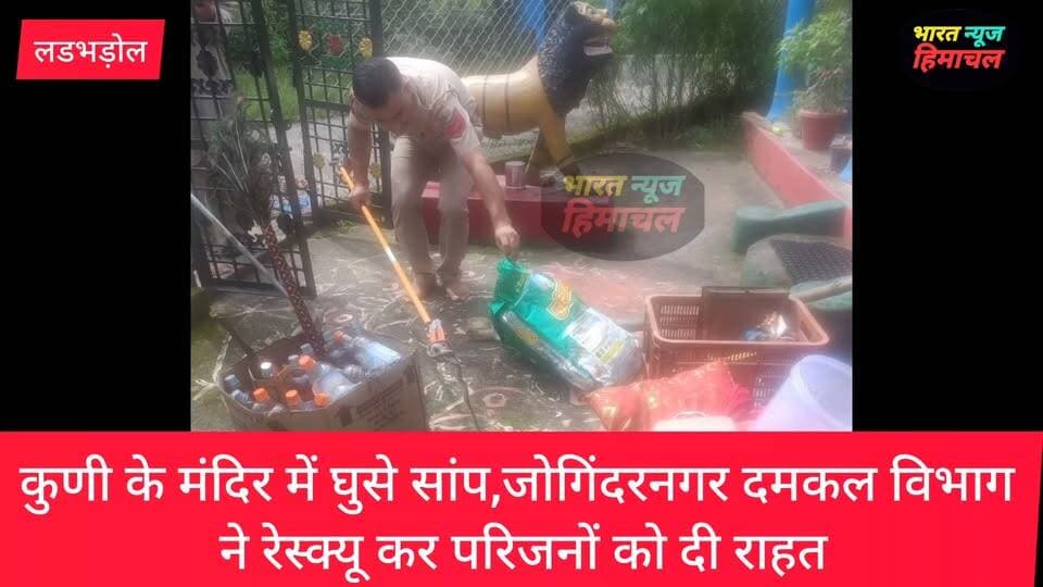 कुणी गांव के मंदिर में घुसे सांप,जोगिंदरनगर दमकल विभाग ने रेस्क्यू कर परिजनों को दी राहत