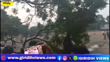 मुख्यमंत्री हेमंत सोरेन का पुतला दहन करने की तैयारी कर रहे छात्र संगठन के लोगो को झामुमो कार्यकर्ताओं ने झंडा मैदान से खदेड़ा, देखे वीडियो
#jmm #giridih #jhandamaidan #jharkhandprotes
