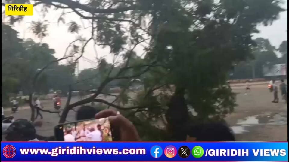 मुख्यमंत्री हेमंत सोरेन का पुतला दहन करने की तैयारी कर रहे छात्र संगठन के लोगो को झामुमो कार्यकर्ताओं ने झंडा मैदान से खदेड़ा, देखे वीडियो
#jmm #giridih #jhandamaidan #jharkhandprotes