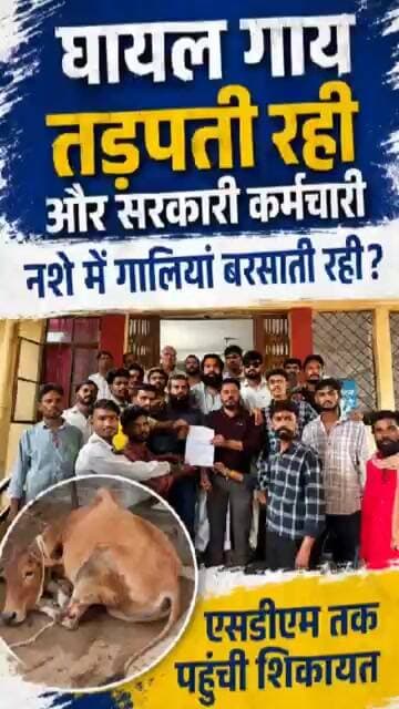 गाय के इलाज की जगह मिली नशे में भद्दी गालियां! #animalambulance #bajrangdal #latestnews