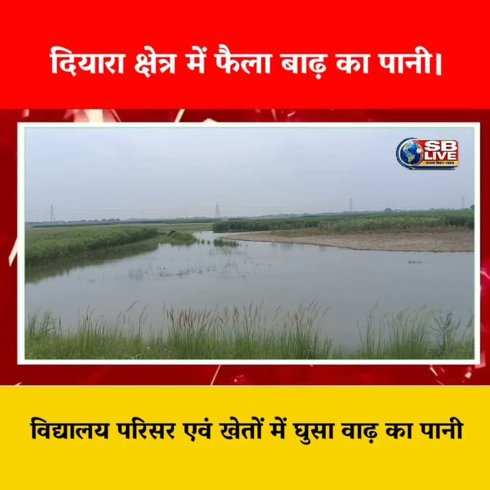 दियारा क्षेत्र में फैला बाढ़ का पानी।
Flood in Diyara flood area
#floods #floodarea #flooding #FloodInBihar #indianvillagers #usa #USATrends #USATrendingNow #BreakingNews #FloodNews