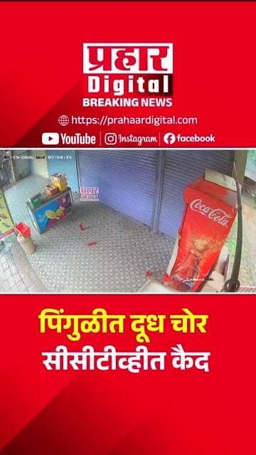 पिंगुळीत दूध चोर सीसीटीव्हीत कैद