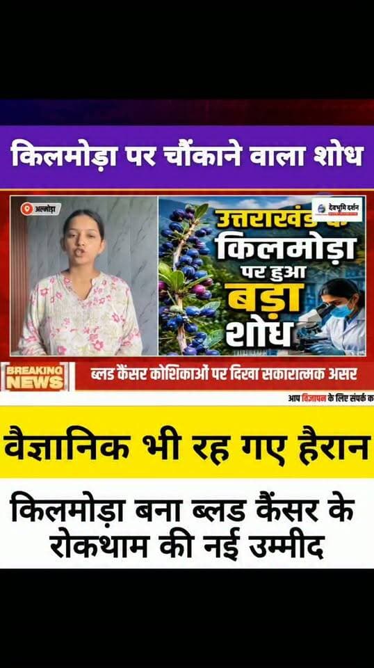 उत्तराखंड के पहाड़ों का जंगली फल किलमोड़ा बना ब्लड कैंसर के रोकथाम की नई उम्मीद वैज्ञानिक भी रह गए हैरान।।।
||Wild Fruit Kilmoda from Uttarakhand's Hills Emerges as a New Hope for Blood Cancer Prevention, Scientists Amazed||
#devbhoomidarshan
#devbhoomi_darshan
#UttarakhandNews
#uttarakhand