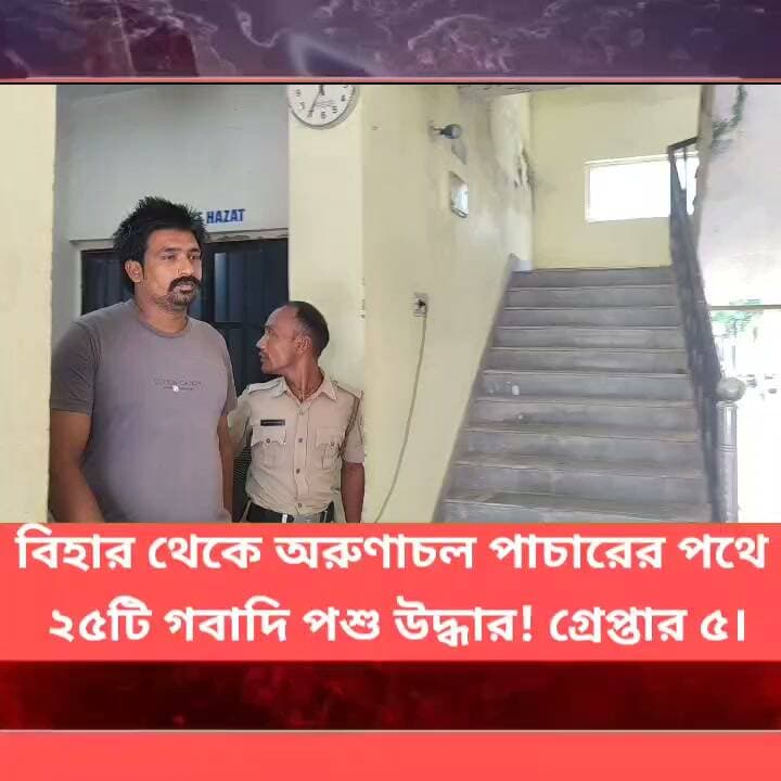 বিহার থেকে অরুণাচল পাচারের পথে ২৫টি গবাদি পশু উদ্ধার! PWD মোড়ে SSB-র অভিযানে ১২-চাকার লরি আটক, গ্রেপ্তার ৫।
#Panitankitimes #viralvideo #highlights #everyonefollowers #ViralVideo #everyone #allfollowers #HomeAutomation #kitchenaccessories #RakhiHampers #katemiddleton #ManUtd #Darjeeling #LatestNews